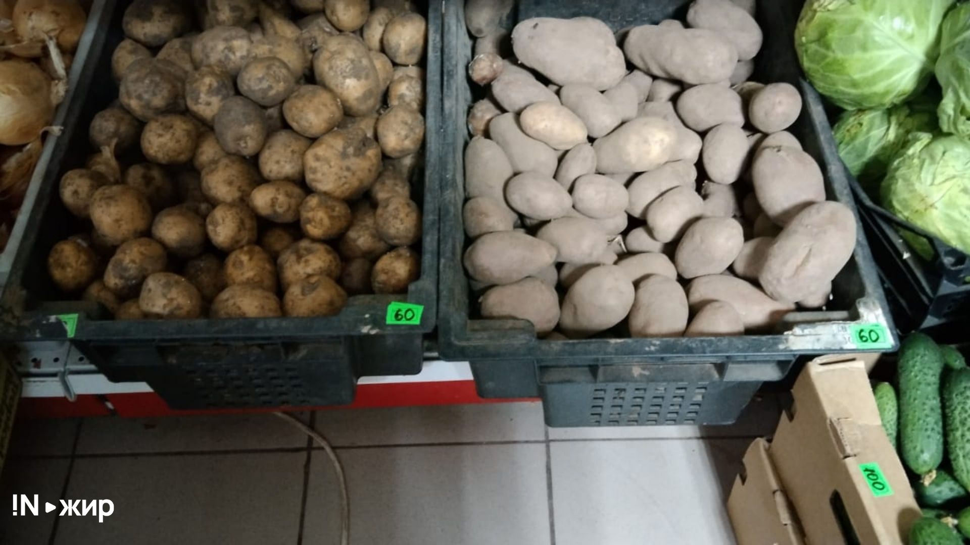 Картофель по 60 р. за кг. Фото: INжир media
